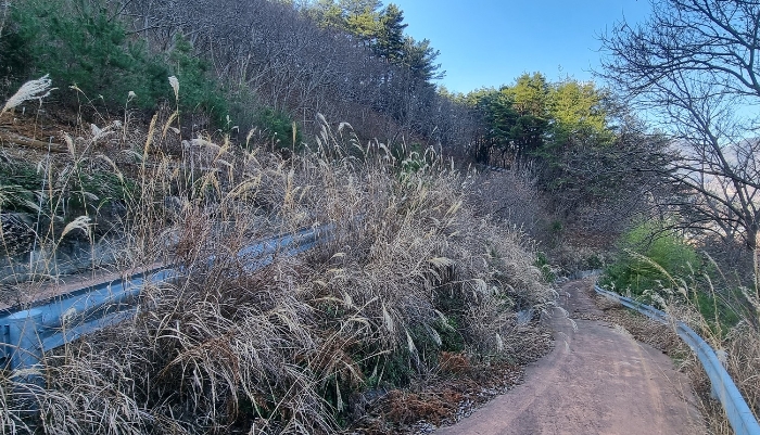 경상남도 하동군 적량면 동리 993-2 외 15필지 교육연구시설 경매 사진 49