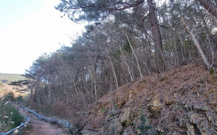 경상남도 하동군 적량면 동리 993-2 외 15필지 교육연구시설 경매 사진 52