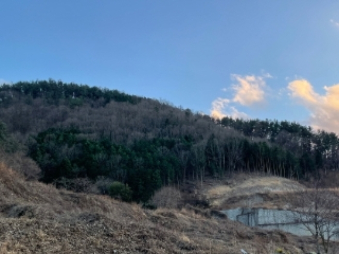 경상남도 사천시 실안동 산246 외 1필지 임야 경매 사진 1