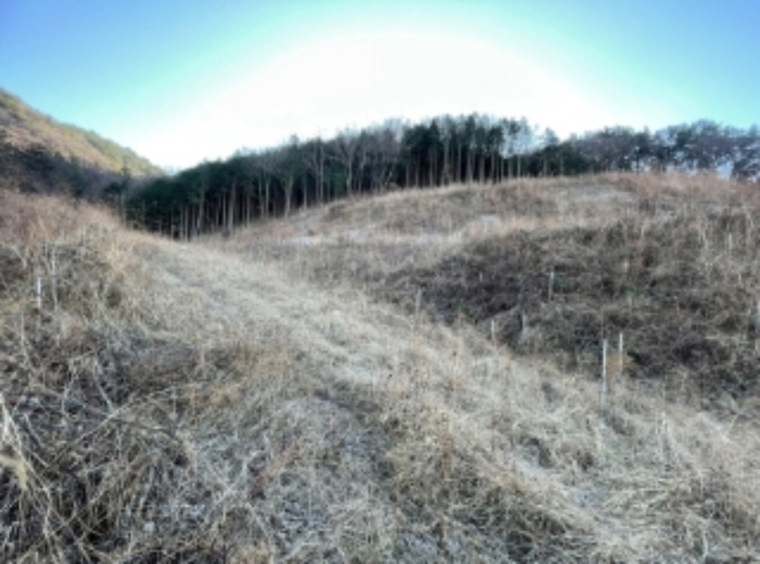 경상남도 사천시 실안동 산246 외 1필지 임야 경매 사진 2