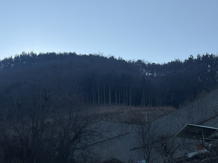 경상남도 사천시 실안동 산246 외 1필지 임야 경매 사진 4