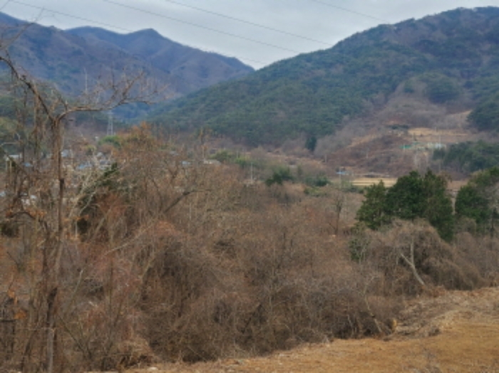 전라남도 순천시 주암면 행정리 370-1 임야 경매 사진 1