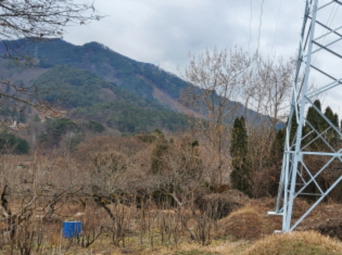 전라남도 순천시 주암면 행정리 370-1 임야 경매 사진 3