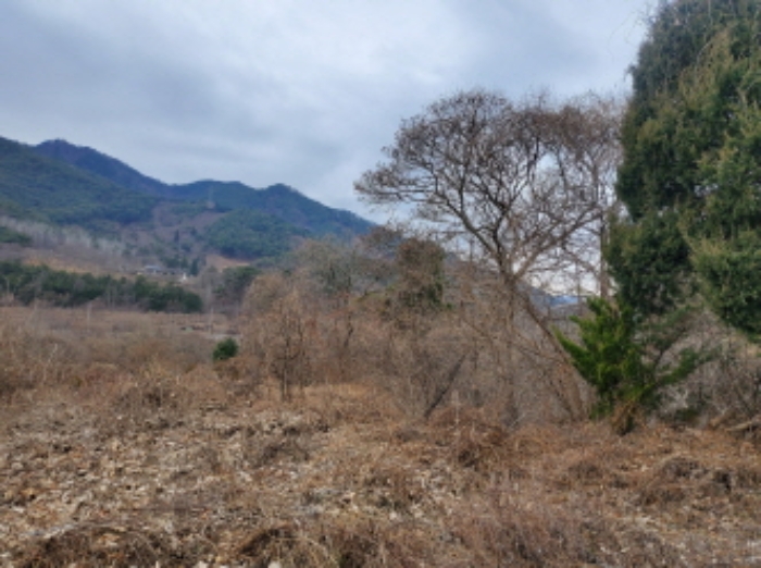 전라남도 순천시 주암면 행정리 370-1 임야 경매 사진 4