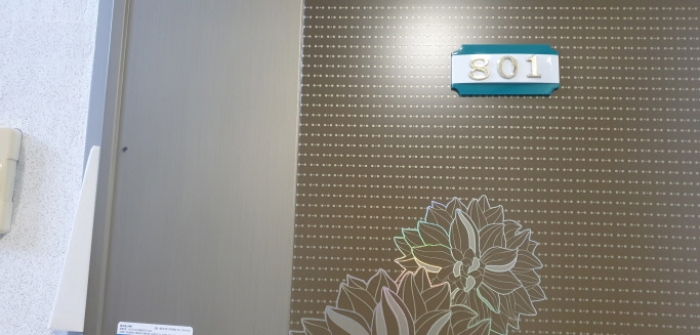 부산 사하구 하단동 500-1, 에이동 8층801호 (하단동,디에스하우스) 외 5필지 도시형생활주택 경매 사진 2
