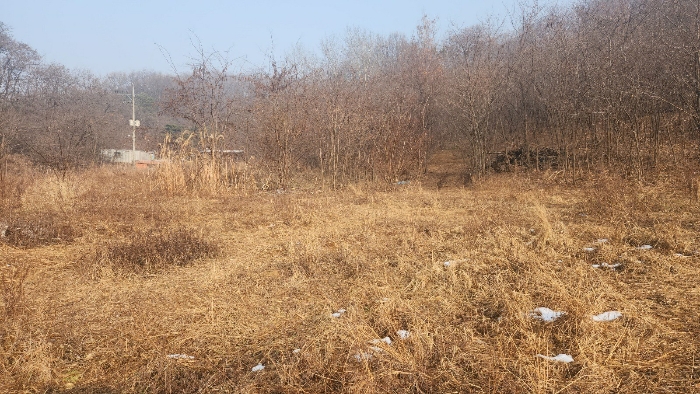 충청남도 천안시 동남구 구룡동 179-2 외 3필지 전 경매 사진 11