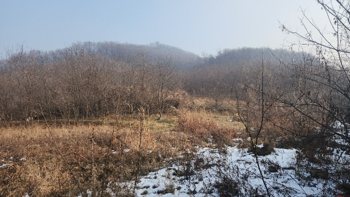 충청남도 천안시 동남구 구룡동 179-2 외 3필지 전 경매 사진 12