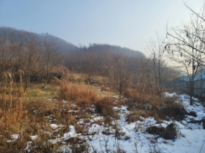 충청남도 천안시 동남구 구룡동 179-2 외 3필지 전 경매 사진 3