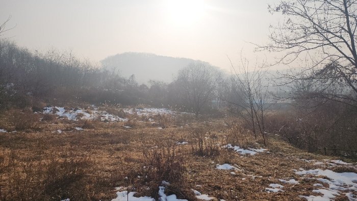 충청남도 천안시 동남구 구룡동 179-2 외 3필지 전 경매 사진 8