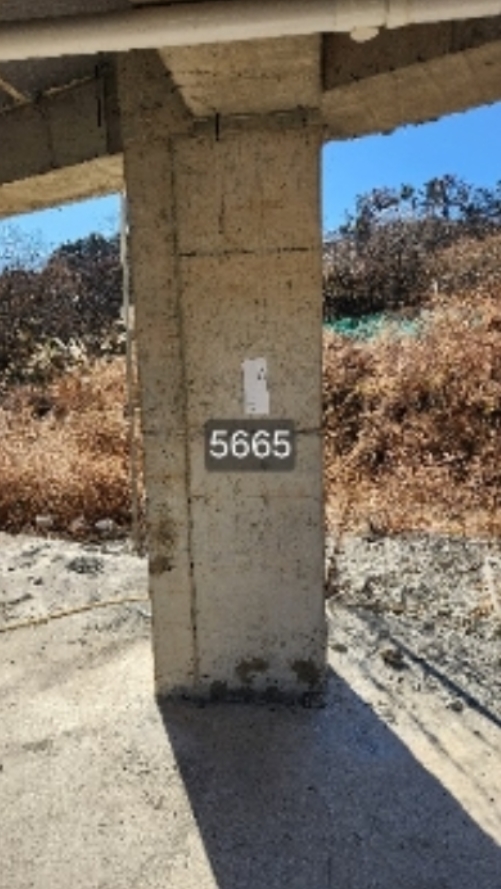 부산광역시 기장군 장안읍 월내리 447 주택 경매 사진 19