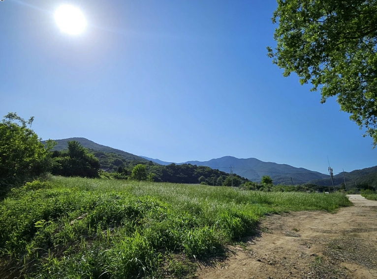 충청남도 예산군 덕산면 상가리 372 외 1필지 답 경매 사진 1