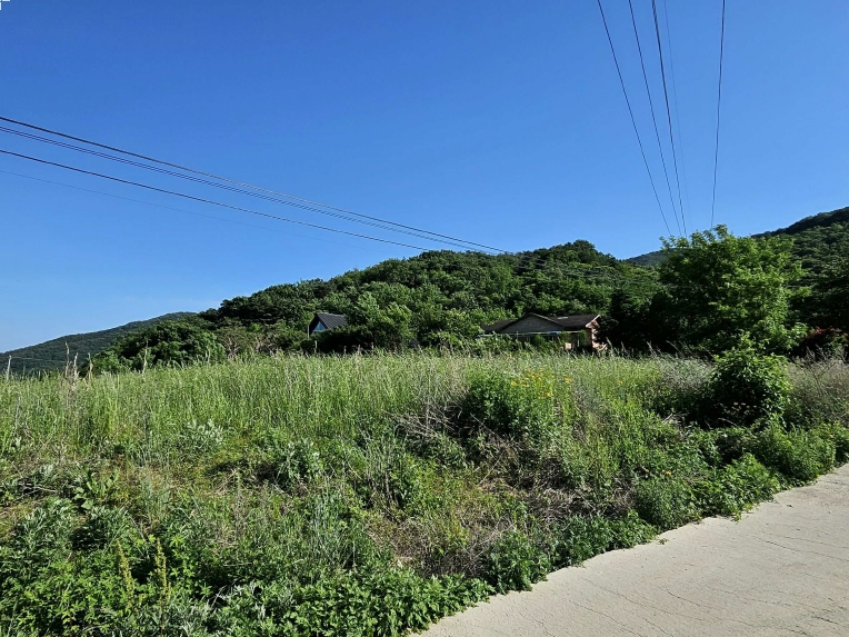 충청남도 예산군 덕산면 상가리 372 외 1필지 답 경매 사진 2