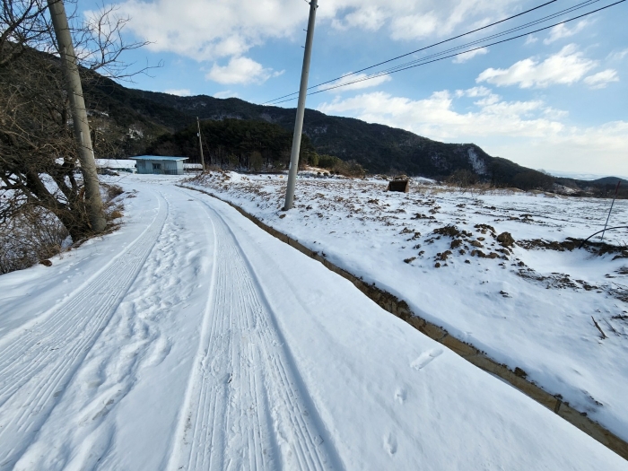 충청남도 예산군 덕산면 상가리 372 외 1필지 답 경매 사진 14