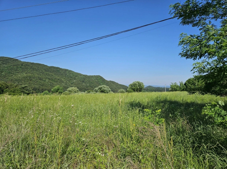 충청남도 예산군 덕산면 상가리 372 외 1필지 답 경매 사진 3
