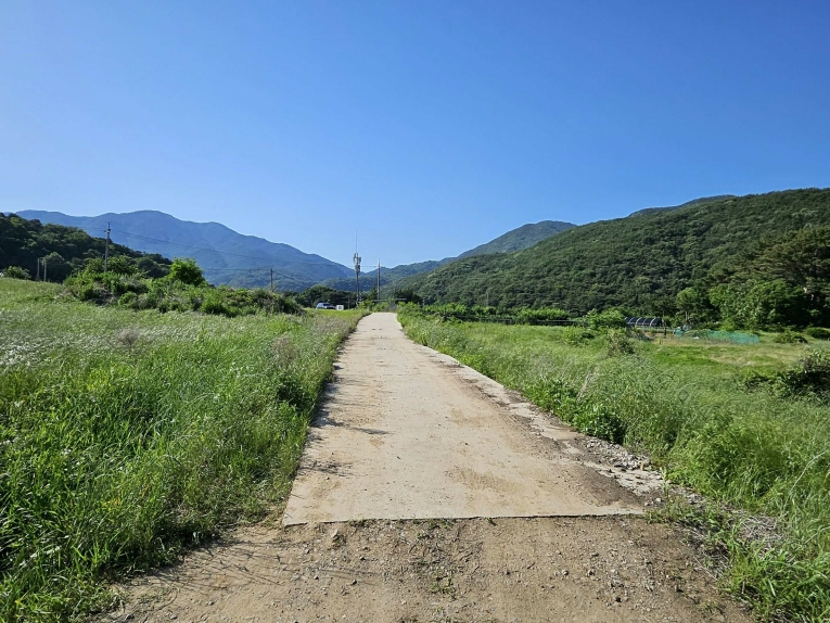 충청남도 예산군 덕산면 상가리 372 외 1필지 답 경매 사진 6