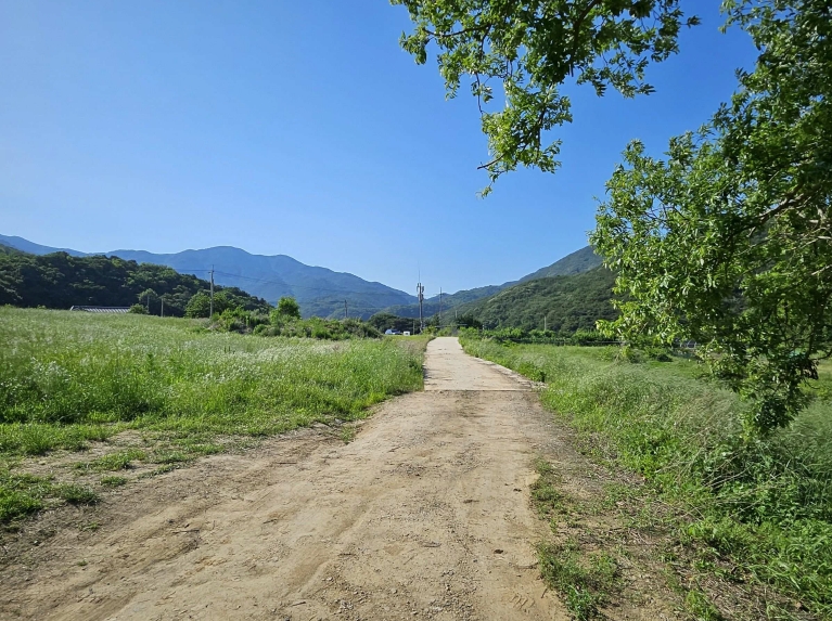 충청남도 예산군 덕산면 상가리 372 외 1필지 답 경매 사진 7