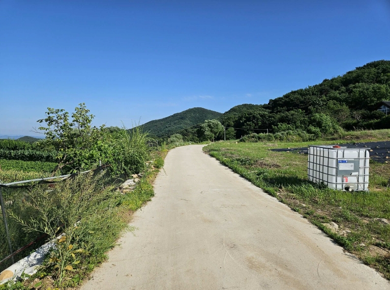 충청남도 예산군 덕산면 상가리 372 외 1필지 답 경매 사진 8