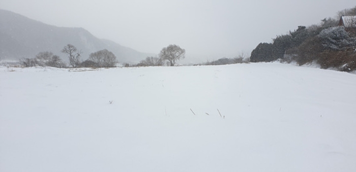 충청남도 예산군 덕산면 상가리 372 외 1필지 답 경매 사진 9