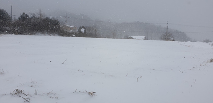 충청남도 예산군 덕산면 상가리 372 외 1필지 답 경매 사진 10