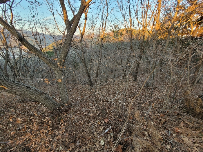 경상남도 창원시 진해구 두동 산281 외 1필지 임야 경매 사진 6