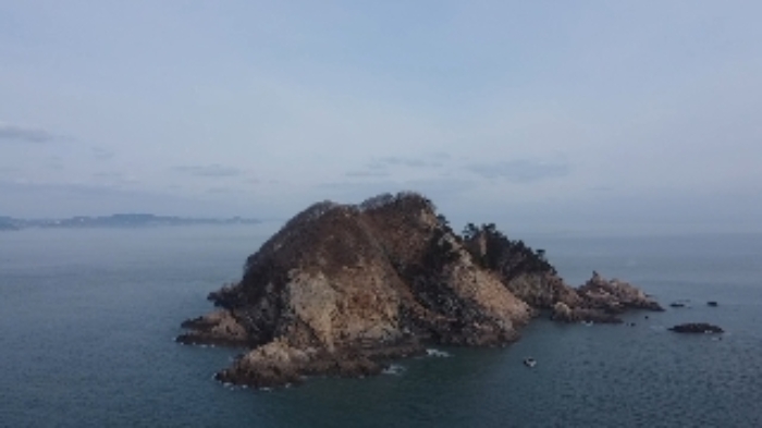 충청남도 태안군 근흥면 신진도리 산19 임야 경매 사진 30