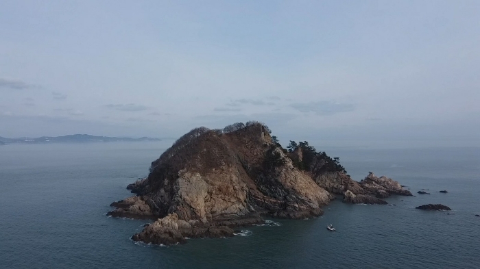 충청남도 태안군 근흥면 신진도리 산19 임야 경매 사진 40