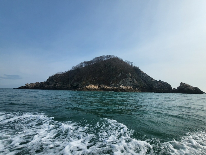 충청남도 태안군 근흥면 신진도리 산19 임야 경매 사진 41