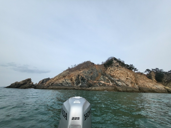 충청남도 태안군 근흥면 신진도리 산19 임야 경매 사진 42