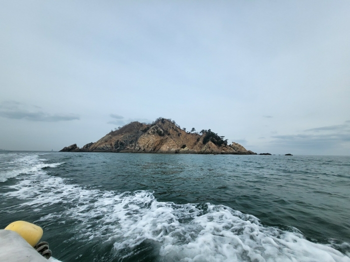 충청남도 태안군 근흥면 신진도리 산19 임야 경매 사진 43