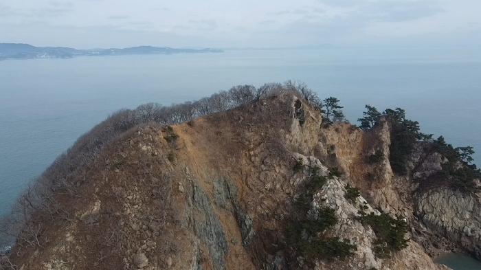 충청남도 태안군 근흥면 신진도리 산19 임야 경매 사진 47