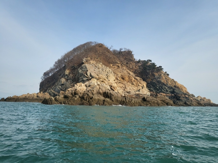 충청남도 태안군 근흥면 신진도리 산19 임야 경매 사진 48