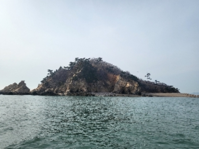 충청남도 태안군 근흥면 신진도리 산19 임야 경매 사진 31