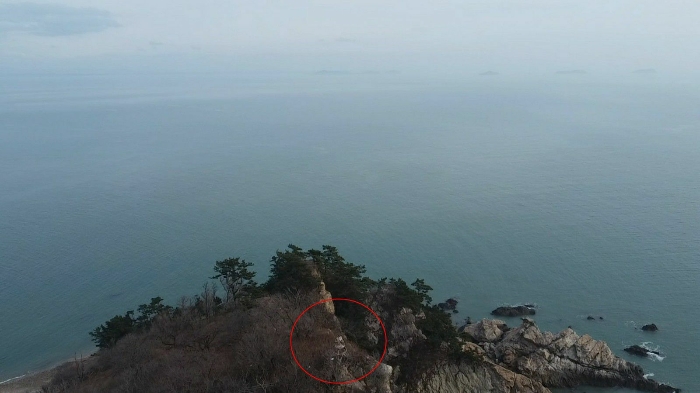 충청남도 태안군 근흥면 신진도리 산19 임야 경매 사진 52