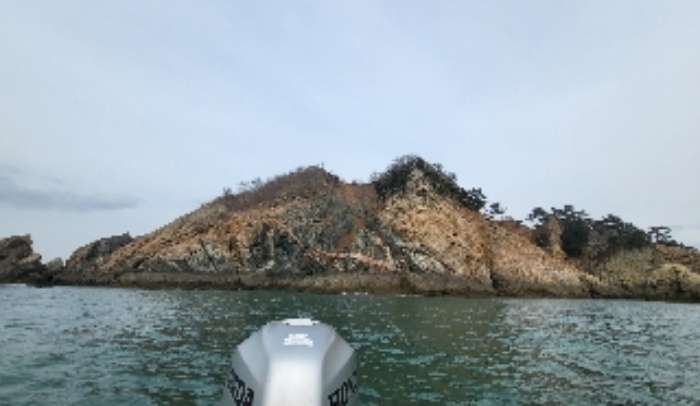 충청남도 태안군 근흥면 신진도리 산19 임야 경매 사진 36