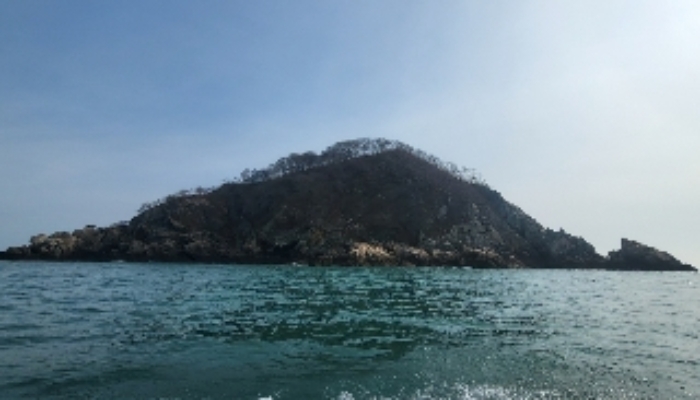 충청남도 태안군 근흥면 신진도리 산19 임야 경매 사진 37