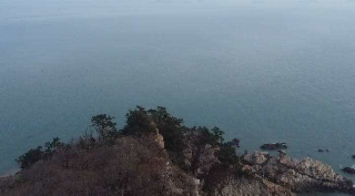 충청남도 태안군 근흥면 신진도리 산19 임야 경매 사진 38