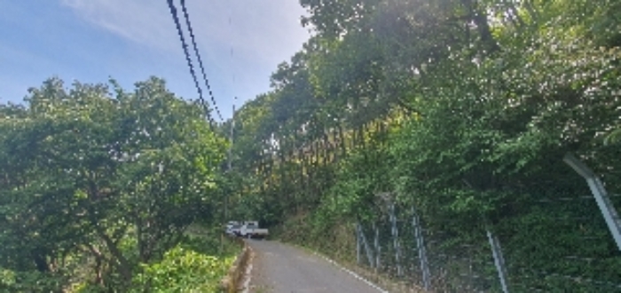 경상남도 함안군 산인면 모곡리 산79 외 17필지 임야 경매 사진 14
