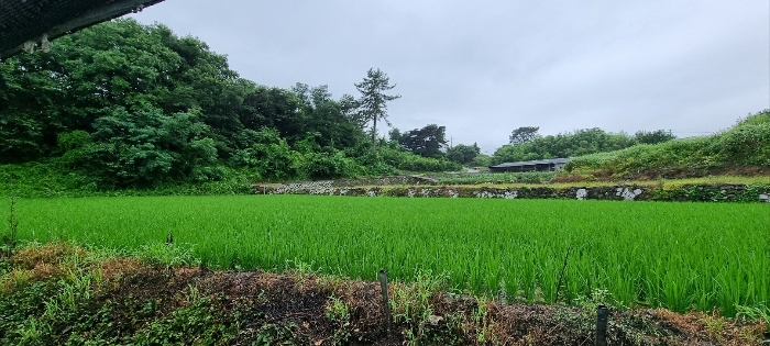 경상남도 남해군 설천면 비란리 100 외 1필지 답 경매 사진 3