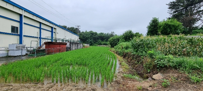 경상남도 남해군 설천면 비란리 100 외 1필지 답 경매 사진 4