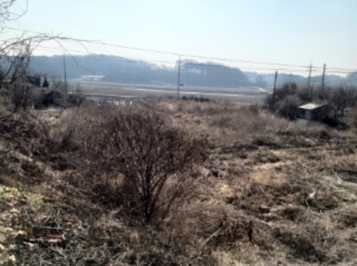 충청남도 당진시 송악읍 중흥리 513 외 1필지 전 경매 사진 1