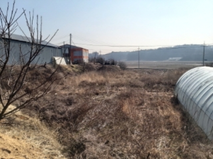 충청남도 당진시 송악읍 중흥리 513 외 1필지 전 경매 사진 2