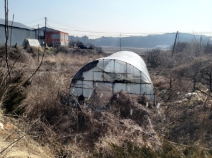 충청남도 당진시 송악읍 중흥리 513 외 1필지 전 경매 사진 3