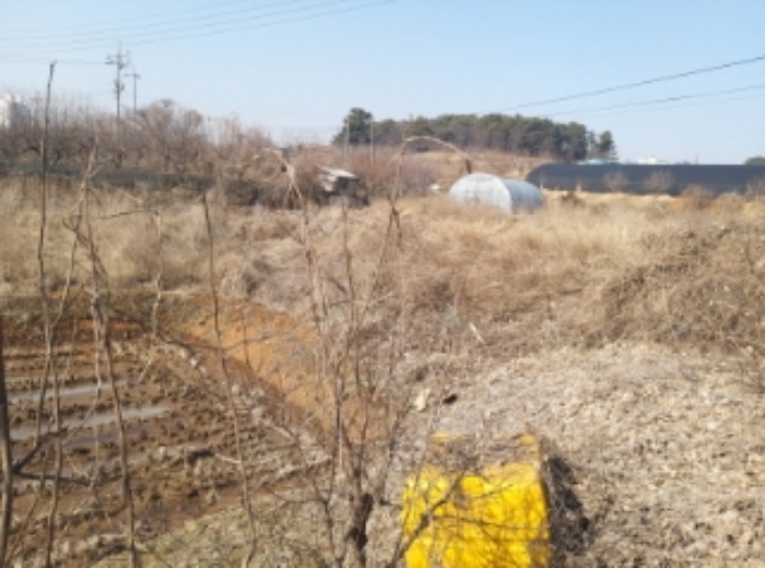 충청남도 당진시 송악읍 중흥리 513 외 1필지 전 경매 사진 5