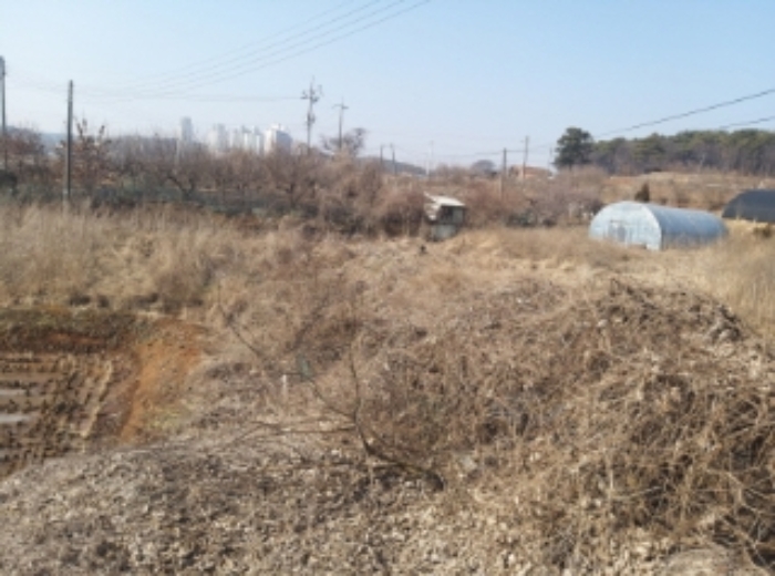 충청남도 당진시 송악읍 중흥리 513 외 1필지 전 경매 사진 6