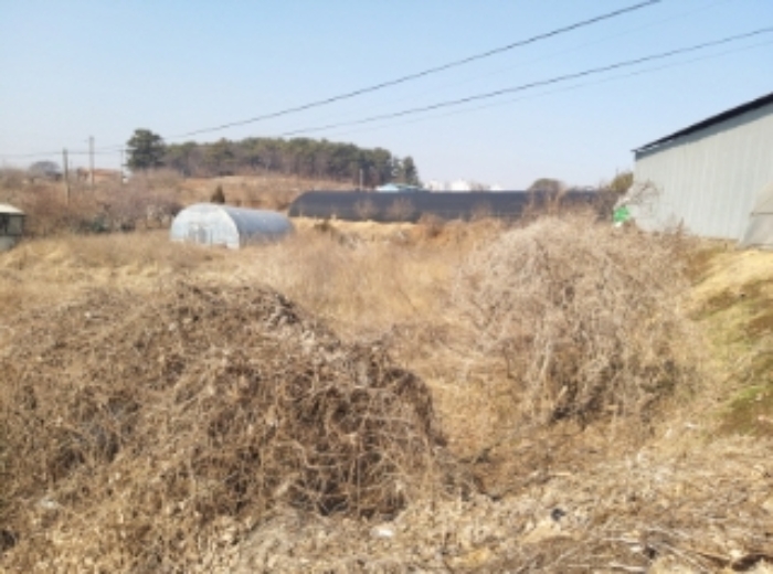 충청남도 당진시 송악읍 중흥리 513 외 1필지 전 경매 사진 7