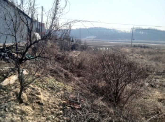 충청남도 당진시 송악읍 중흥리 513 외 1필지 전 경매 사진 8