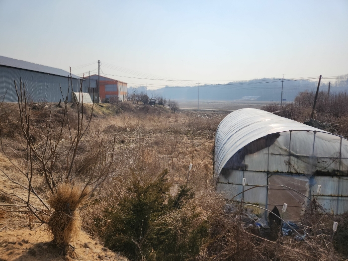 충청남도 당진시 송악읍 중흥리 513 외 1필지 전 경매 사진 9