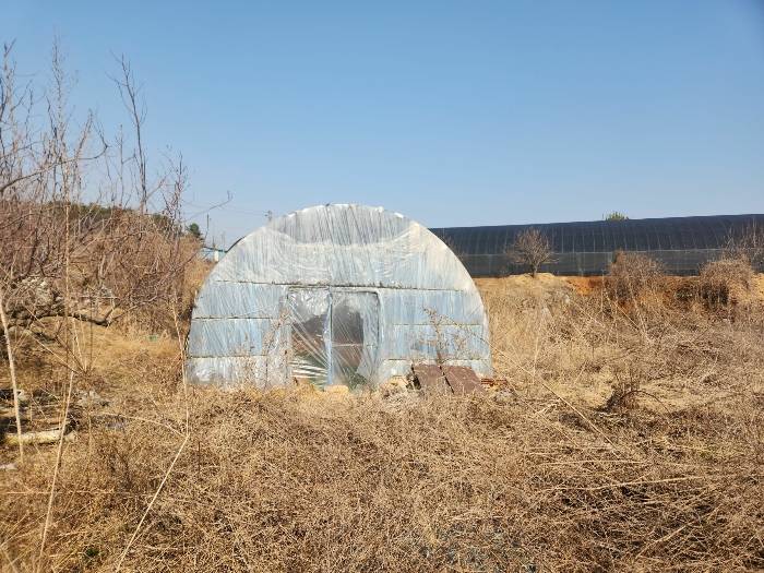 충청남도 당진시 송악읍 중흥리 513 외 1필지 전 경매 사진 10