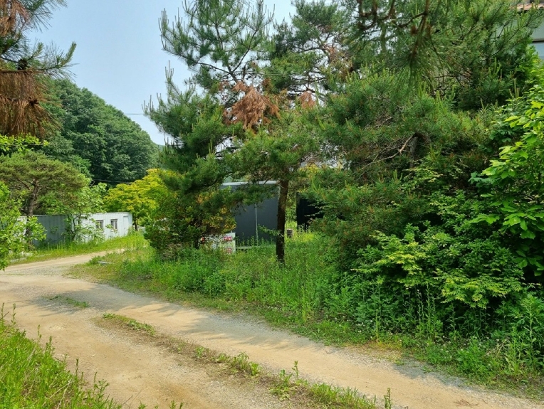 경기 용인시 처인구 모현읍 동림리 315 외 8필지 단독주택 경매 사진 3