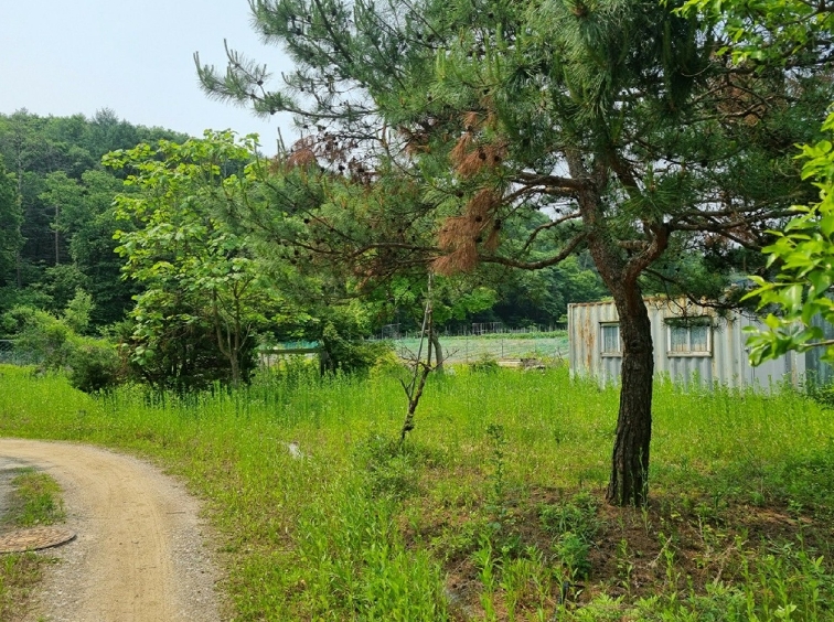 경기 용인시 처인구 모현읍 동림리 315 외 8필지 단독주택 경매 사진 5